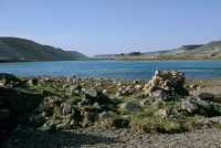 818 Zénobia, l'Euphrate