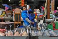 62 Marchande de volailles