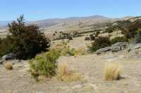 69 Site des mines d'or de Bendigo