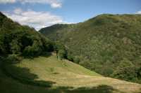 54 - Entre Laguiole & Espalion