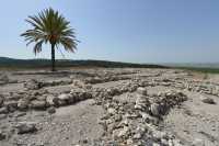 61 Quartier assyrien (732-630) construit sur un plan orthogonal