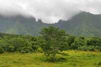 031 Route traversière