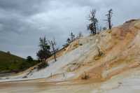 87 Mammoth Hot Spring Terraces