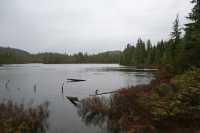 26 Vers Port Alice 3