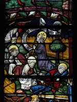 07 Agonie au jardin des oliviers