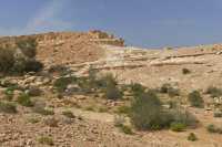 58 En Avdat - Tour sur le sommet sud du canyon