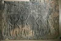 030 - Prise d'Alammu - Prisonniers et têtes d'ennemis - Niinive (± 700)