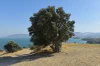 17 Lac de Tibériade vu du mont des Béatitudes