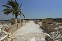 56 Etables du sud pour 150 chevaux