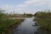 57 Le lac de Tibériade près de Magdala