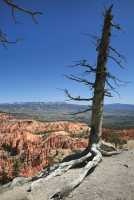 23 Brice Point (2.700)