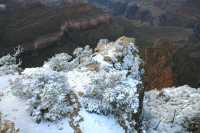 48 Gd Colorado Neige