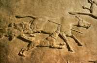 656 Les chasses du roi Assurbanipal