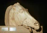 496 (Cheval du char de Séléné)