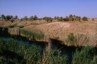 336 Babylone -  Ziggurat E-Téménanki