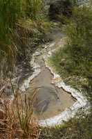 114  Source (dite coquille Saint-Jacques) B