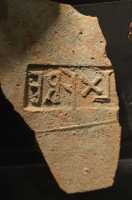 14 L.X.FRE (Legio X fretensis)