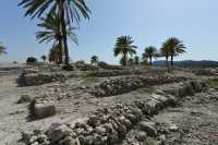 71 Quartier assyrien (732-630)