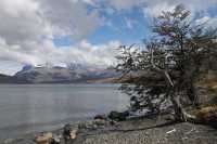 41 Lago azul & Torres del Paine