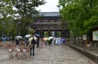 035 Todai-ji (Grande porte sud)