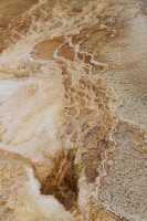 32 Mammoth Hot Spring Terraces