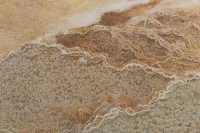 33 Mammoth Hot Spring Terraces