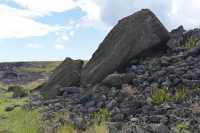 14 Moai renversé