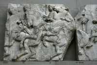 033 - Frise Nord 37 Cavalcade