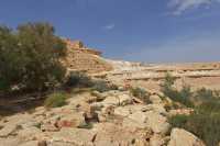 57 En Avdat - Sommet sud du canyon