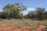 12 Près du Kata Tjuta