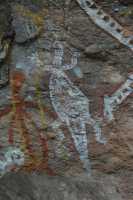 19 Iguane - Nourlangie Rock