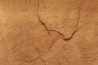 084 Les chariots - Gravures rupestres égyptiennes