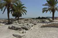 54 Etables du sud (8°s)