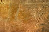 646 Les chasses du roi Assurbanipal