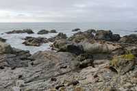 009 Otaries - Ohau Point Seal Colony