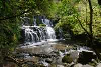 137 Purakaunui Falls