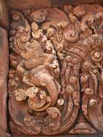 19-Lion & éléphant