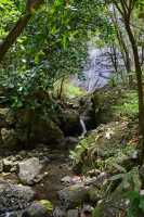 34 Cascade d'Afareiatu - Moorea - Côte est