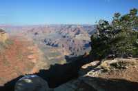 12 Gd Colorado Neige