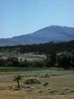 087 Entre Konya & Antioche de Pisidie