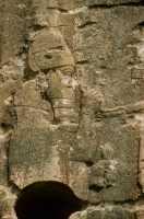 689 Bavian bas-relief - Sennachérib