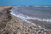 109 Rhodes (Près de Camiros)