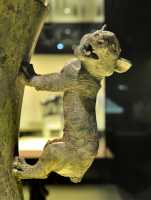 078  Coffre à cauris (coquillage servant de monnaie) 8 buffles & 2 tigres - Han de l'Ouest (-206 - +8)