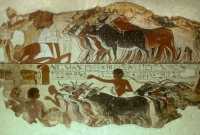 13 Thèbes (nouvel empire) 18ème dynastie