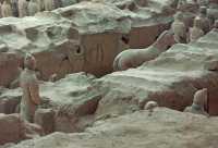 125 Cheval & officier #