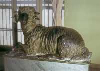 402 Bélier de Syracuse (hellénistique - musée de Palerne III ème s av JC)