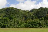 097 Cascade au milieu de la forêt - Nord de la presqu'île de Tahiti Iti