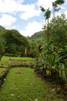 049 Champ de tir à l'arc - Fare Hape