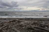 072 Seno Otway & pingouins