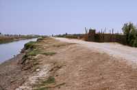 106 Canal à Afaq (fleuve Kebar)